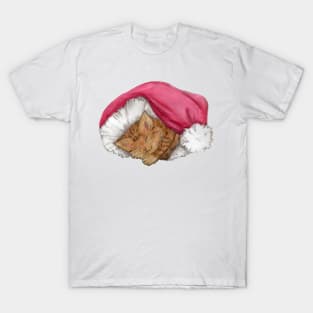 Kitten in Santa hat, with no background T-Shirt